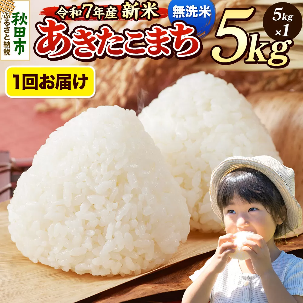 《令和7年産 新米先行受付》 米 あきたこまち 5kg 【無洗米】 秋田県産