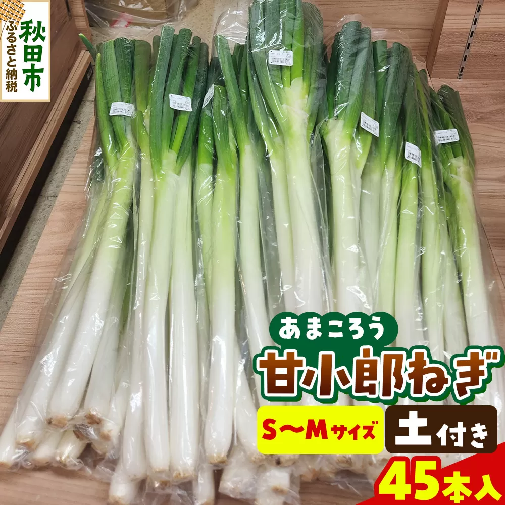 甘小郎ねぎ 約5kg 土ねぎ（1箱45本入り）