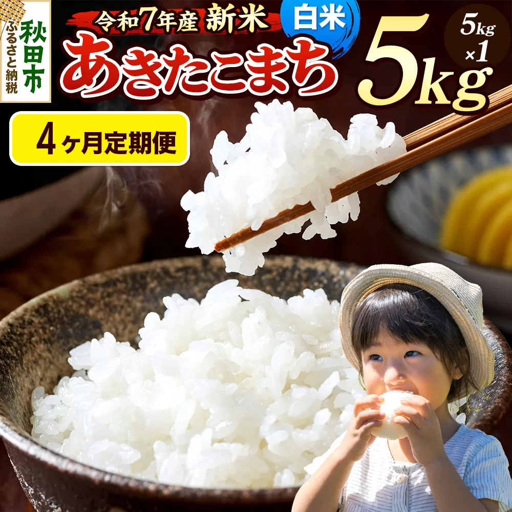 《令和7年産 新米先行受付》《定期便4ヶ月》 米 あきたこまち 5kg 【白米】 秋田県産