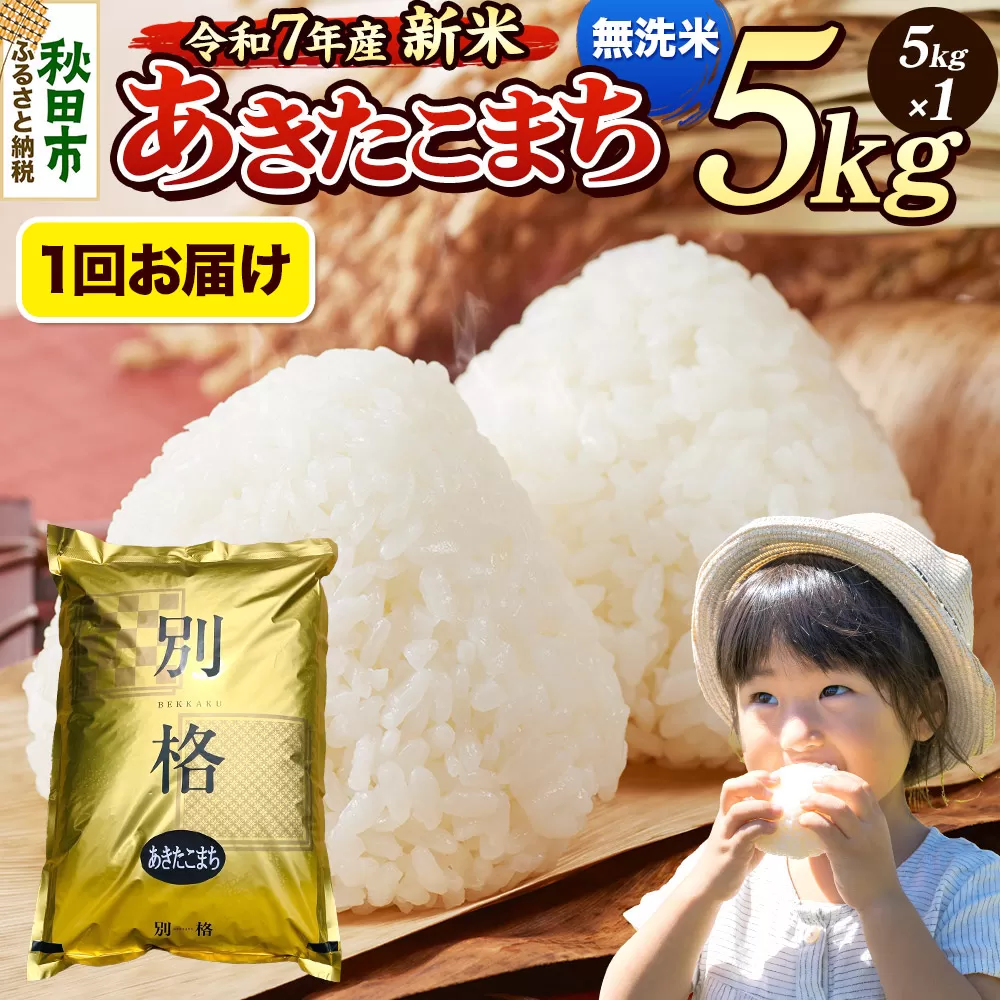 [令和7年産 新米] 米 あきたこまち 5kg [無洗米] 秋田県産 秋田県秋田市