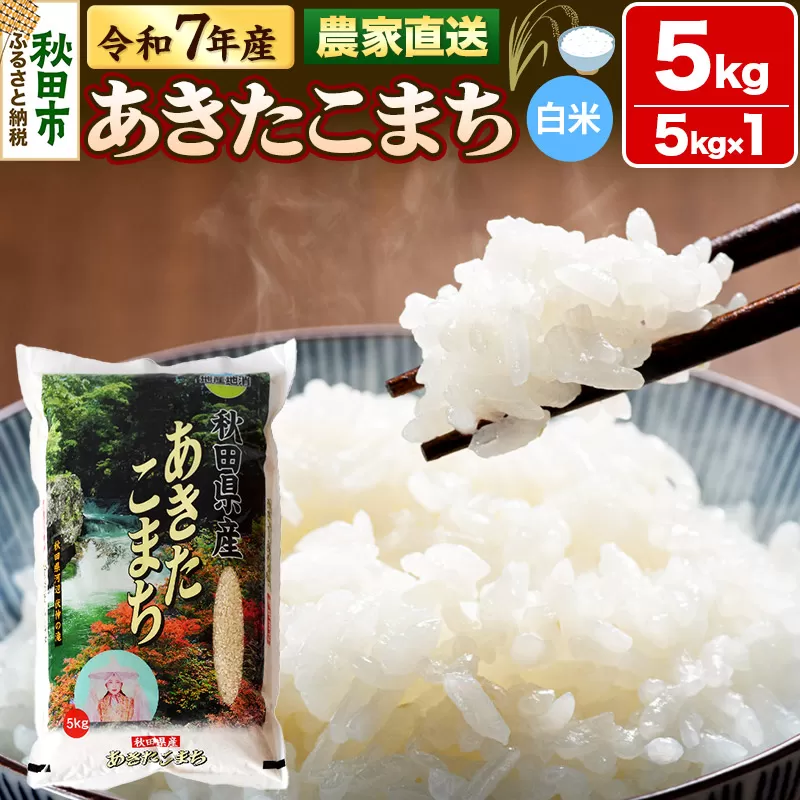 米 あきたこまち 5kg 令和7年産 新米 白米 田口商店 農家直送 秋田県産 秋田県秋田市