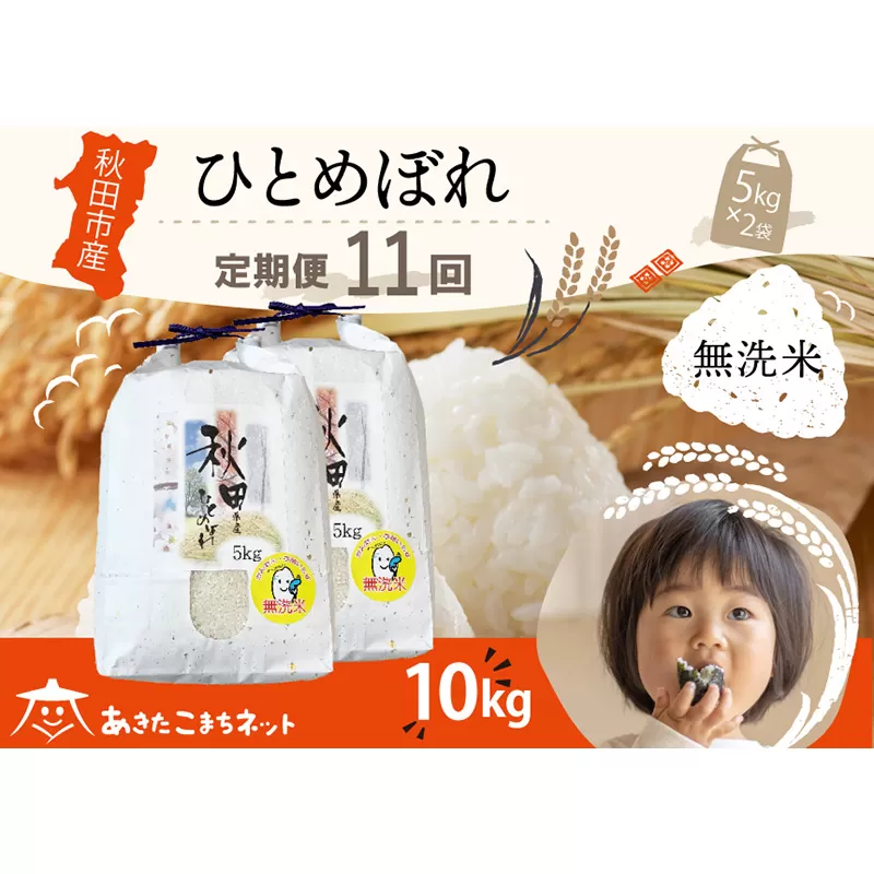 《定期便11ヶ月》ひとめぼれ 10kg(5kg×2袋) 【無洗米】秋田市産 秋田県秋田市
