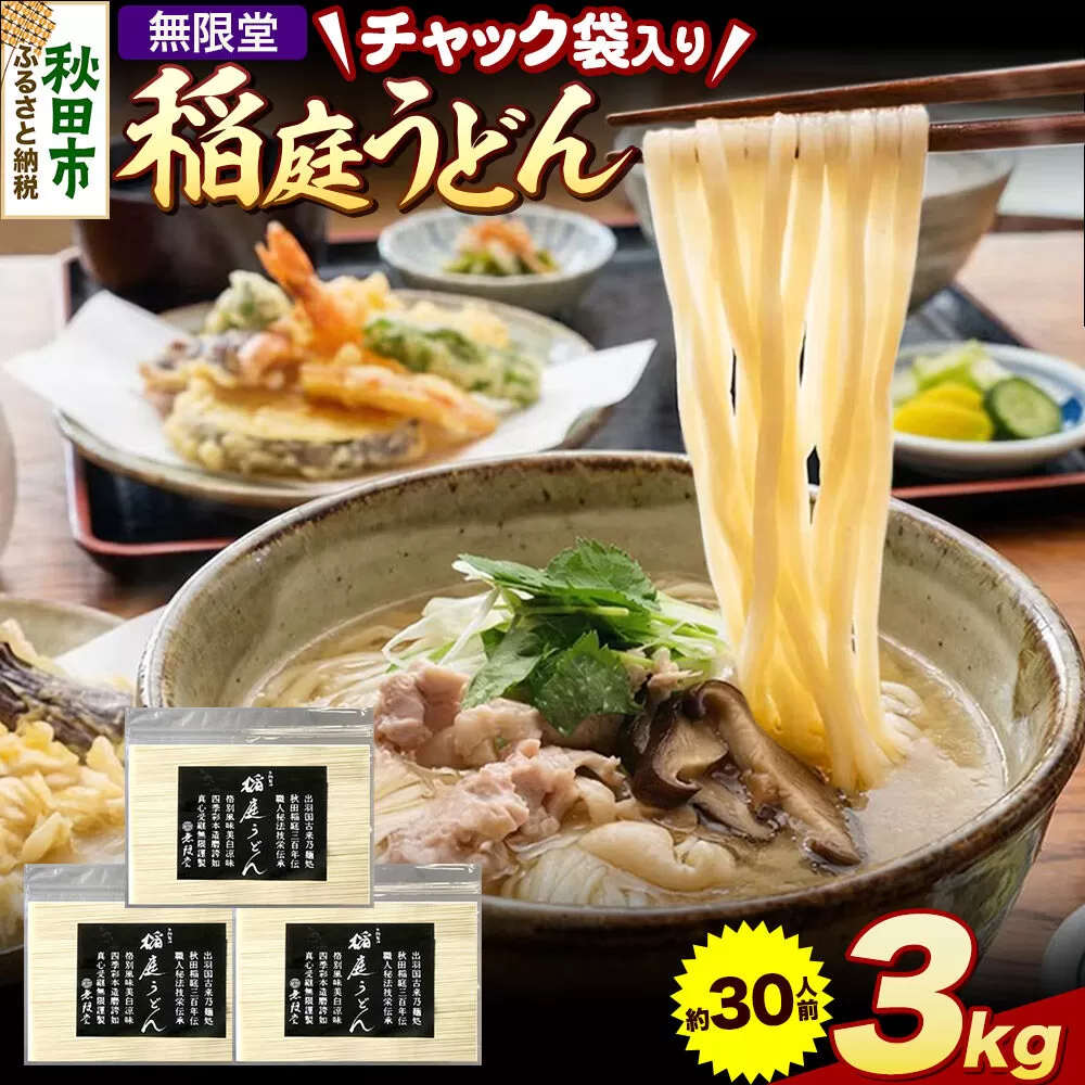 無限堂 稲庭うどん チャック袋入り 3kg（約30人前） 秋田 [細麺 細めん コシ いなにわ うどん 乾麺 干麺 干し麺 職人技 手造り] 秋田県秋田市