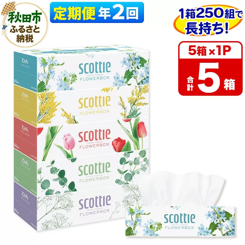 《6ヶ月ごとに2回お届け》定期便 ティッシュペーパー スコッティ ティシュー フラワーボックス 250組 5箱パック×1パック 秋田市オリジナル [ティッシュ ボックスティッシュ] 秋田県秋田市