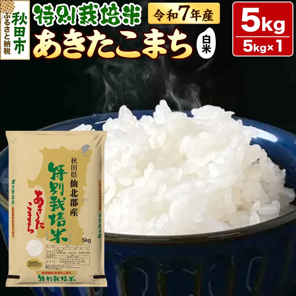 令和7年産 秋田県産特別栽培あきたこまち 5kg 秋田県秋田市