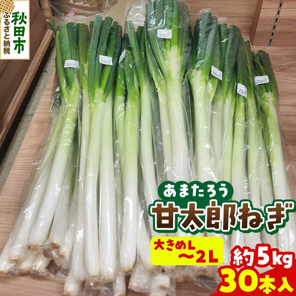 甘太郎ねぎ 約5kg（1箱30本入り）