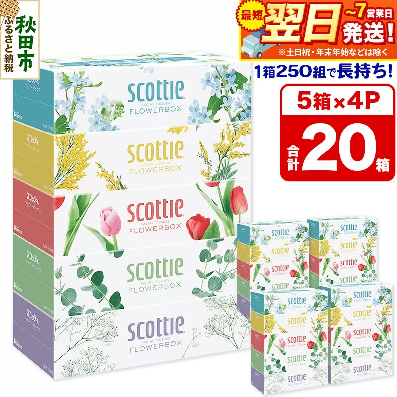 最短翌日発送ティッシュペーパー スコッティ フラワーボックス250組 20箱(5箱×4パック) ティッシュ 秋田市オリジナル 最短翌日発送 秋田県秋田市