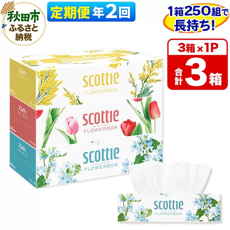 《6ヶ月ごとに2回お届け》定期便 ティッシュペーパー スコッティ ティシュー フラワーボックス 250組 3箱パック×1パック 秋田市オリジナル [ティッシュ ボックスティッシュ] 秋田県秋田市