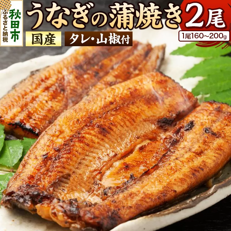 うなぎ うなぎ蒲焼き 160〜200g× 2尾 (タレ・山椒付き) 仕出しのせきや 鰻 土用の丑の日 国産