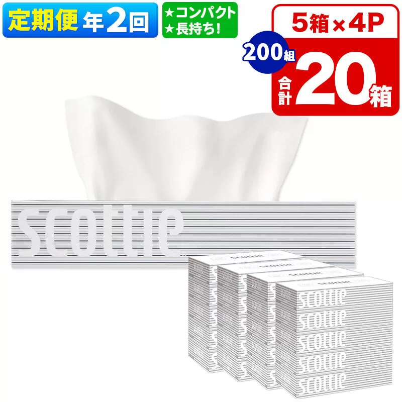 《6ヶ月ごとに2回お届け》定期便 ティッシュペーパー スコッティ 200組 20箱(5箱×4パック) ティッシュ 秋田市オリジナル 新生活 [ティッシュ ボックスティッシュ 定期便 新生活] 秋田県秋田市