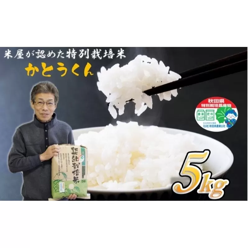 【白米】特別栽培米 秋田県産 あきたこまち ”かとうくん” 5kg 米屋が認めたお米 令和5年産