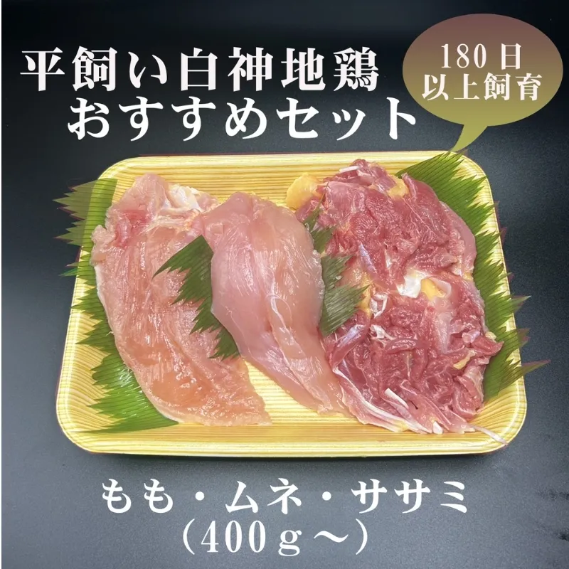 数量限定 平飼い白神地鶏 おすすめセット 400g～ 1パック  詰め合わせ  平飼い 地鶏 鶏肉 鳥肉 お肉 肉 秋田 秋田県 能代市