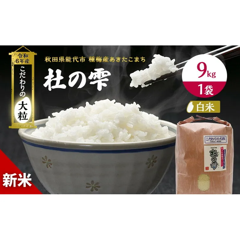 米 秋田 あきたこまち 杜の雫 9kg 1袋 秋田県産 お米 こだわりの大粒 種梅産 白米 精米 ご飯 ブランド米 大粒 おにぎり 令和6年産 新米 産地直送 送料無料 おこめ ごはん 秋田県