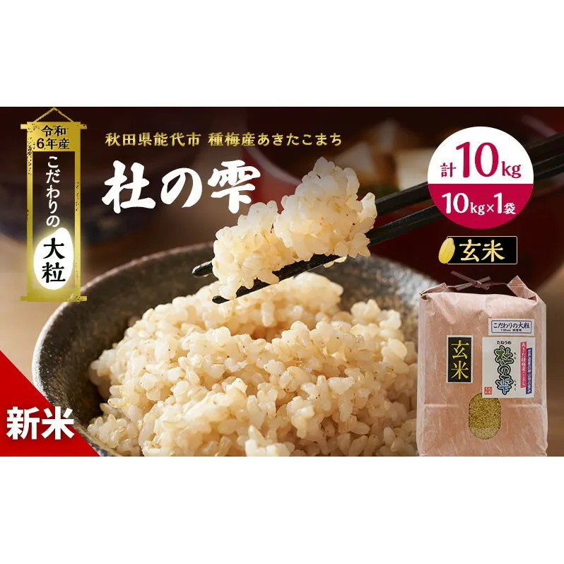 玄米 秋田 あきたこまち 杜の雫 10kg 1袋 秋田県産 米 お米 こだわりの大粒 種梅産 精米 ご飯 ブランド米 大粒 おにぎり 令和6年産 新米 産地直送 送料無料 おこめ ごはん 秋田県