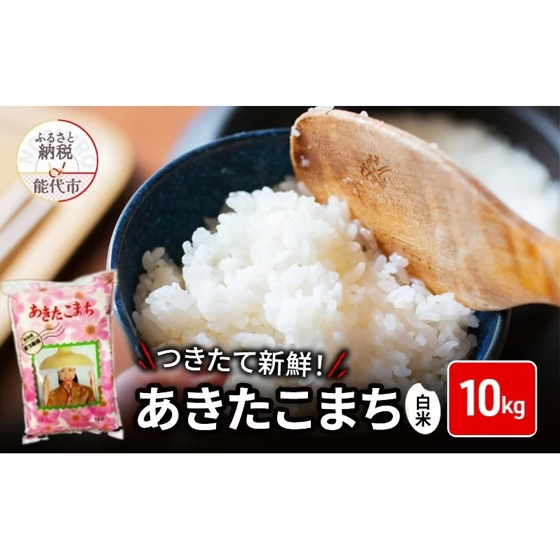 白米 ★つきたて新鮮★ うまい!! 本場のあきたこまち 10kg 精米 ご飯 ブランド米 おにぎり 令和7年産 産地直送 おこめ ごはん 秋田県 秋田 能代市