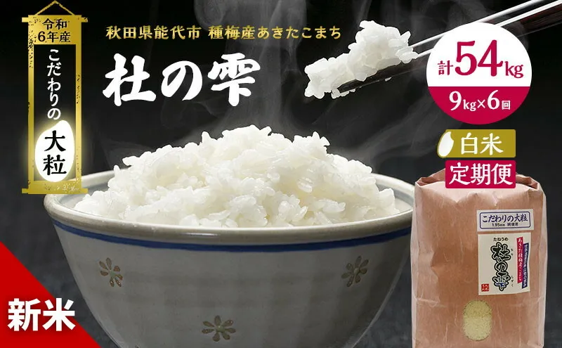 新米 米 お米 《定期便6ヶ月》【白米】秋田県産 あきたこまち あきた種梅産こまち 杜の雫 こだわりの大粒 9kg×6回 合計54kg 