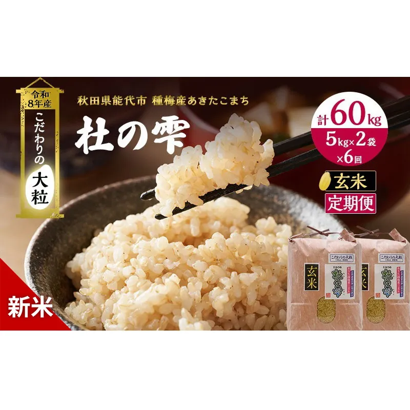 新米 先行予約 令和8年産[玄米]【定期便6ヶ月】秋田県産 あきたこまち 10kg(5kg×2)×6回 計60kg 「杜の雫」こだわりの大粒 種梅産【 お米 おこめ たねうめ 精米 ご飯 ごはん ブランド米 大粒 おにぎり 産地直送 能代 】