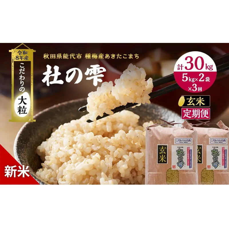 新米 先行予約 令和8年産[玄米]【定期便3ヶ月】秋田県産 あきたこまち 10kg(5kg×2)×3回 計30kg 「杜の雫」こだわりの大粒 種梅産【 お米 おこめ たねうめ 精米 ご飯 ごはん ブランド米 大粒 おにぎり 産地直送 能代 】