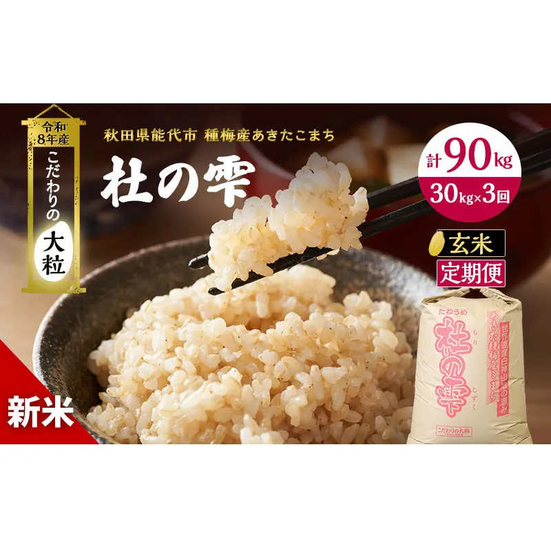 新米 先行予約 令和8年産[玄米]【定期便3ヶ月】秋田県産 あきたこまち 30kg×3回 計90kg「杜の雫」こだわりの大粒 種梅産【 お米 おこめ たねうめ 精米 ご飯 ごはん ブランド米 大粒 おにぎり 産地直送 能代 】
