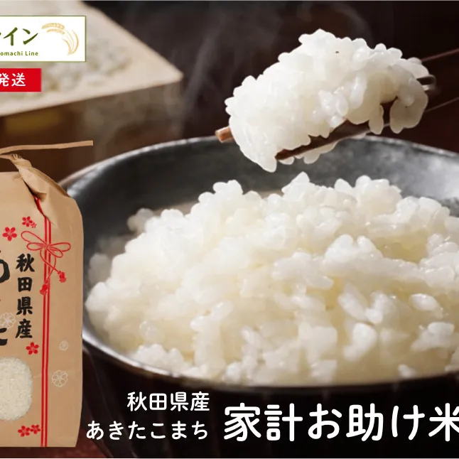令和7年産 あきたこまち 家計お助け米 5kg 秋田県産 米 一等米 ブランド米 5キロ 白米 精米 精米したて 一人暮らし 秋田 能代 能代市 送料無料 《こまちライン》