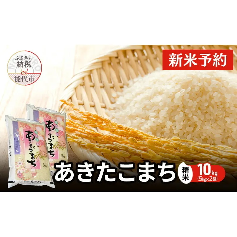 【先行予約】 令和7年産 あきたこまち 精米 10kg（5kg×2袋） 秋田県産 お米 米 ごはん ご飯 単一原料米  