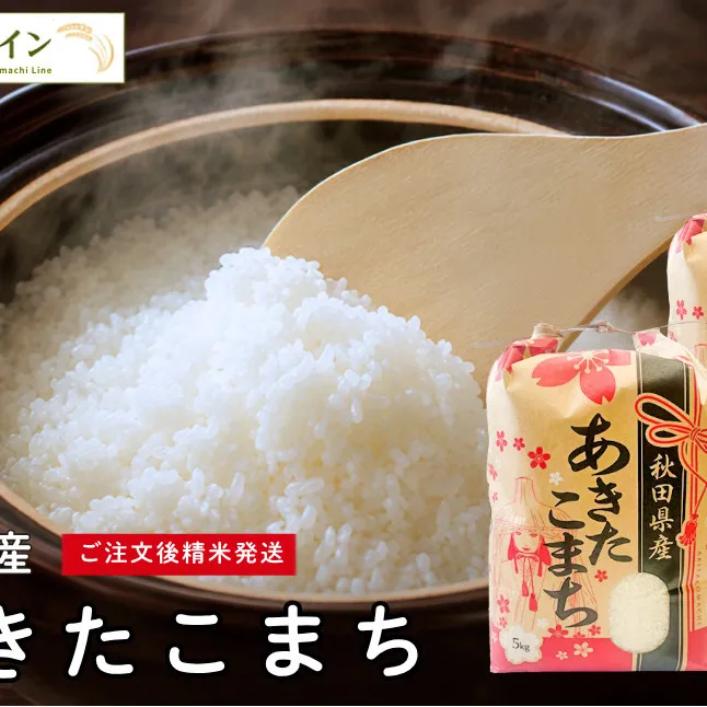 令和7年産 あきたこまち 白米 10kg 秋田県産 米 一等米 ブランド米 10キロ 精米 精米したて 一人暮らし 秋田 能代 能代市 送料無料 《こまちライン》