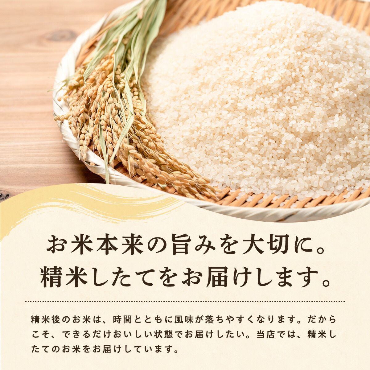 令和7年産 あきたこまち 白米 10kg 秋田県産 米 一等米 ブランド米 10