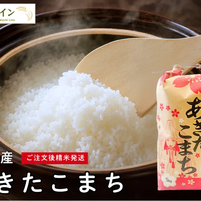 令和7年産 あきたこまち 白米 5kg 秋田県産 米 一等米 ブランド米 5キロ 精米 精米したて 一人暮らし 秋田 能代 能代市 送料無料 《こまちライン》