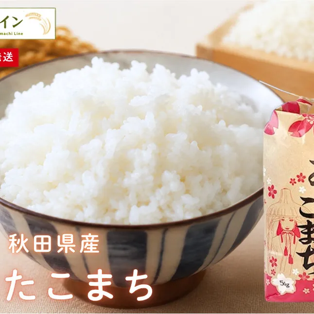 令和7年産 あきたこまち 無洗米 5kg 秋田県産 米 一等米 ブランド米 5