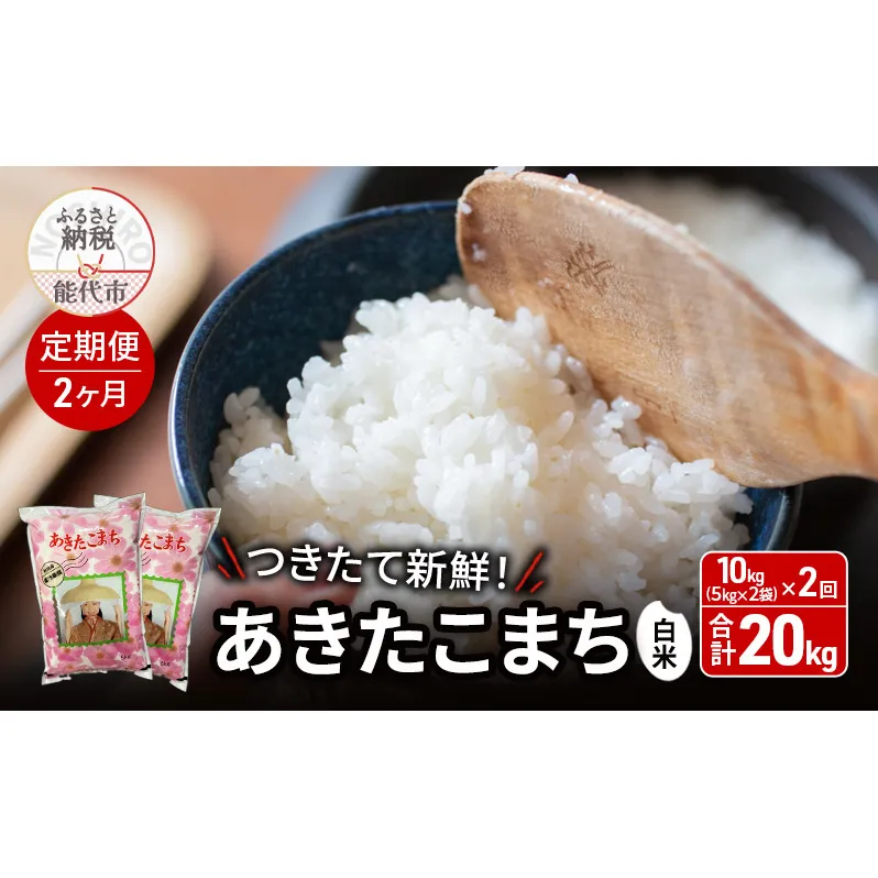 【2025年2月からお届け】《定期便2ヶ月》白米 ★つきたて新鮮★ うまい!! 本場のあきたこまち 10kg(5kg×2袋)×2回 合計20kg 精米 ご飯 ブランド米 おにぎり 令和6年産 産地直送 おこめ ごはん 秋田県 秋田 能代市