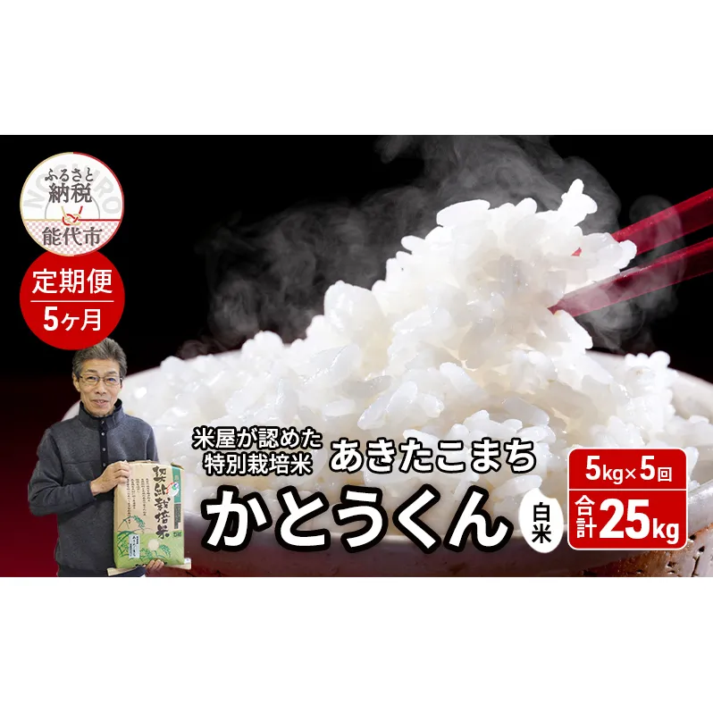 《定期便5ヶ月》 新米 白米 特別栽培米 秋田県産 あきたこまち 米屋が認めたお米 「かとうくん」5kg×5回 合計25kg