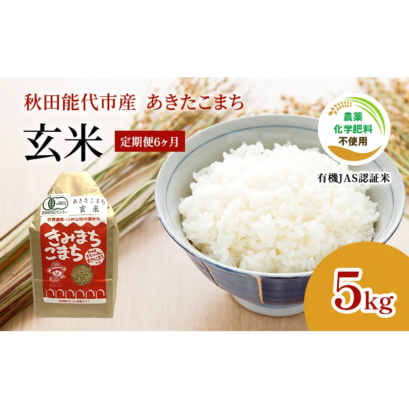 あきたこまち 20kg 2024年産 秋田県産米 10k×2俵 16日発送！