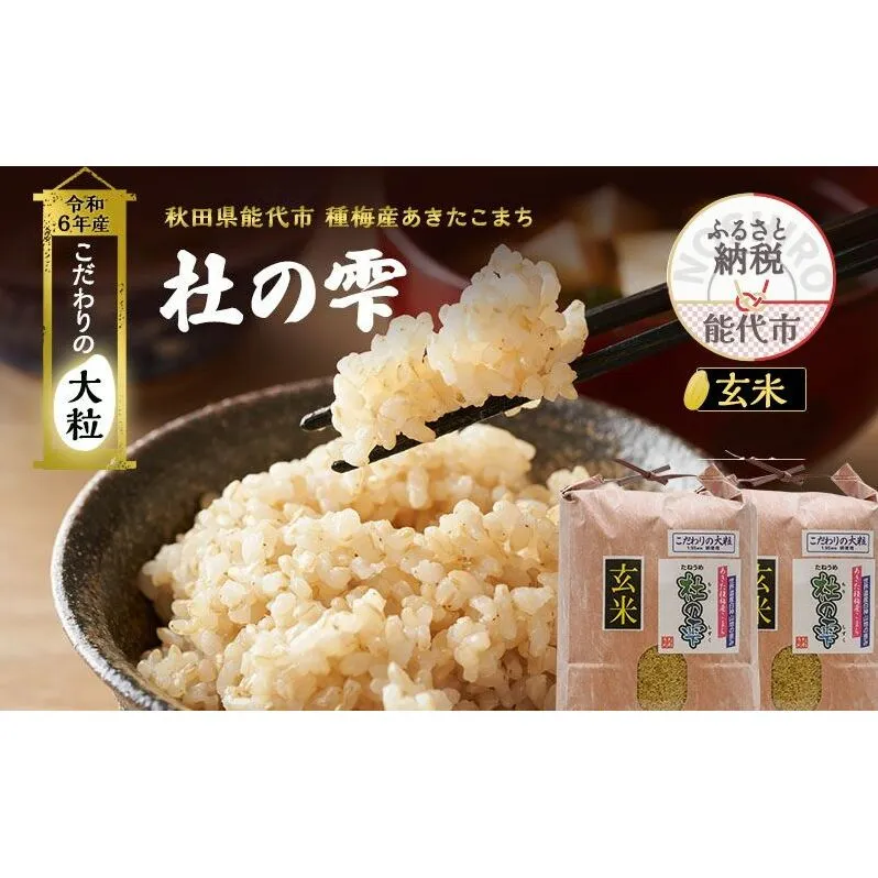 新米 米 お米 《定期便8ヶ月》【玄米】秋田県産 あきたこまち あきた種梅産こまち 杜の雫 こだわりの大粒 10kg（5kg×2袋）×8回 合計80kg