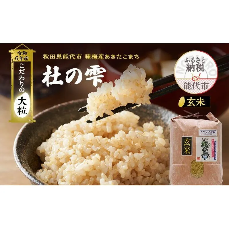 新米 米 お米 《定期便12ヶ月》【玄米】秋田県産 あきたこまち あきた種梅産こまち 杜の雫 こだわりの大粒 10kg×12回 合計120kg