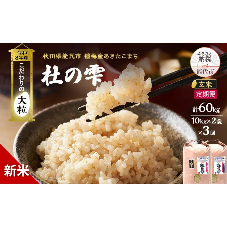 新米 先行予約 令和8年産[玄米]【定期便3ヶ月】秋田県産 あきたこまち 20kg(10kg×2)×3回 計60kg 「杜の雫」こだわりの大粒 種梅産【 お米 おこめ たねうめ 精米 ご飯 ごはん ブランド米 大粒 おにぎり 産地直送 能代 】