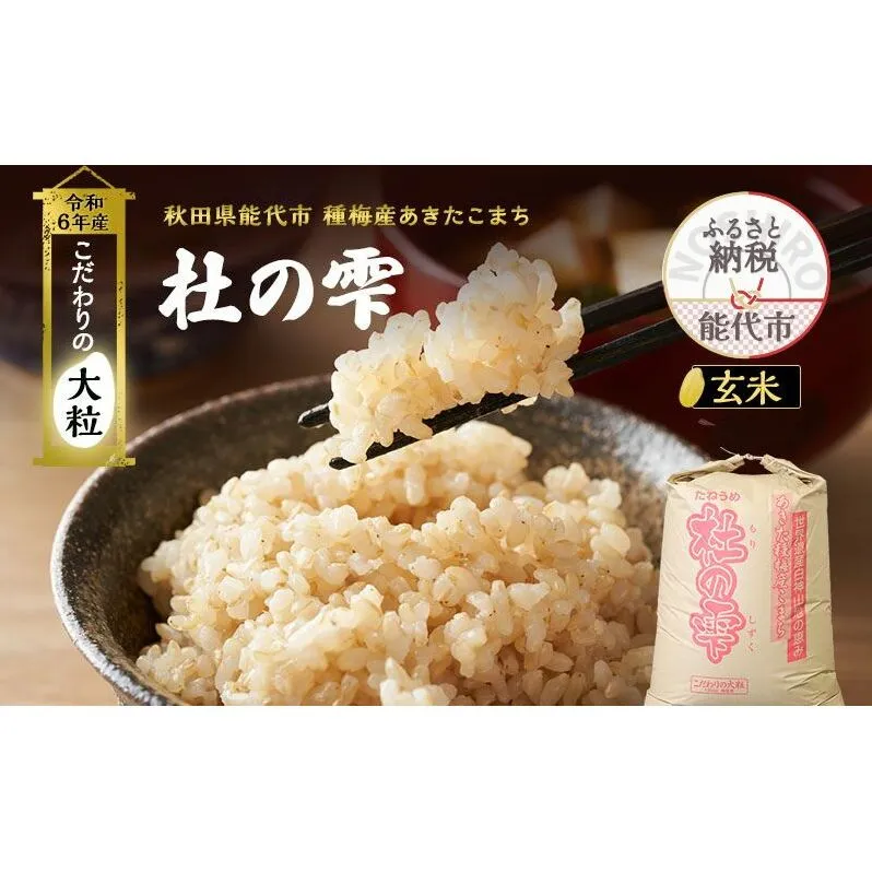 新米 米 お米 《定期便4ヶ月》【玄米】秋田県産 あきたこまち あきた種梅産こまち 杜の雫 こだわりの大粒 30kg×4回 合計120kg