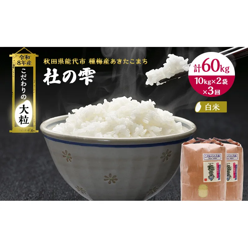 新米 先行予約 令和8年産[白米]【定期便3ヶ月】秋田県産 あきたこまち 20kg(10kg×2)×3回 計60kg 「杜の雫」こだわりの大粒 種梅産【 お米 おこめ たねうめ 精米 ご飯 ごはん ブランド米 大粒 おにぎり 産地直送 能代 】