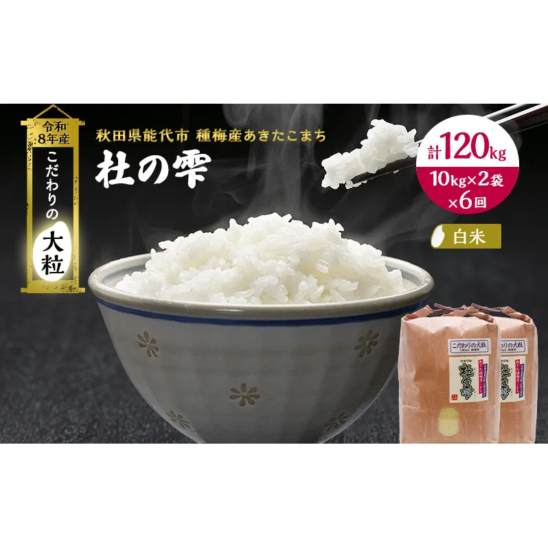 新米 先行予約 令和8年産[白米]【定期便6ヶ月】秋田県産 あきたこまち 20kg(10kg×2)×6回 計120kg 「杜の雫」こだわりの大粒 種梅産【 お米 おこめ たねうめ 精米 ご飯 ごはん ブランド米 大粒 おにぎり 産地直送 能代 】