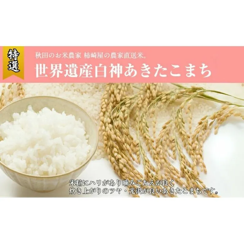 令和6年産 玄米 秋田県産 あきたこまち 10kg お米専門農家だからできる こだわりの産地直送米 米 こめ お米 おこめ 令和6年 産地直送 ご飯 ごはん 秋田こまち 秋田 秋田県 能代市