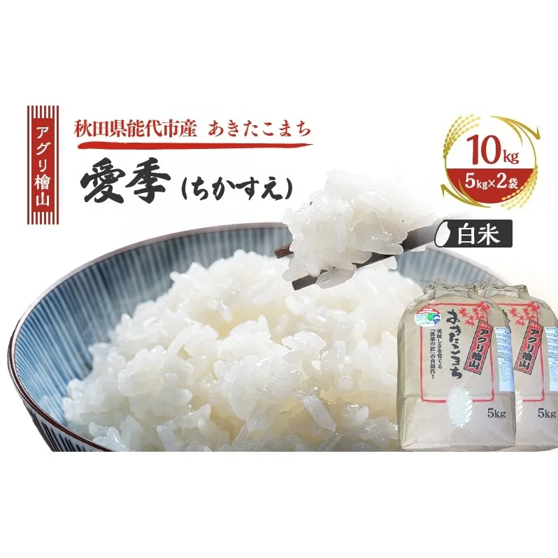 令和7年産 新米 アグリ檜山米 愛季(ちかすえ) 白米 10kg ( 5kg × 2袋 )( 特別栽培米 あきたこまち ) 精米 お米 おこめ こめ コメ ごはん ご飯 大粒 令和7年  秋田 秋田県 能代市