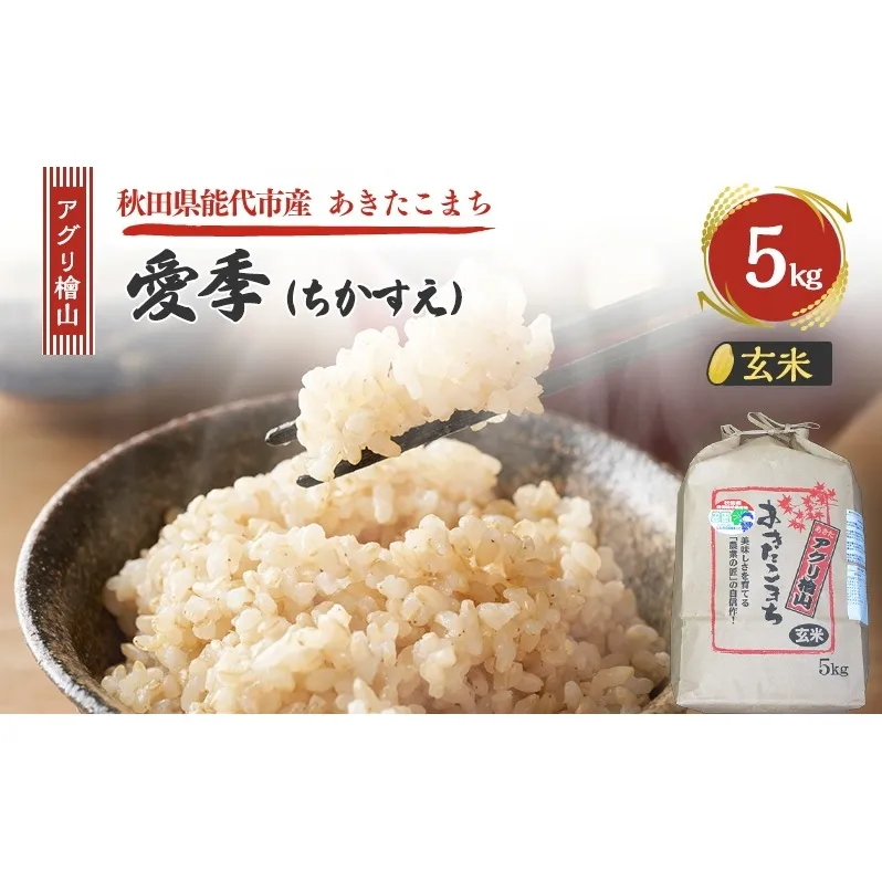 令和7年産 新米 アグリ檜山米 愛季(ちかすえ) 玄米 5kg  あきたこまち  お米 おこめ こめ コメ ごはん ご飯 大粒 令和7年  秋田 秋田県 能代市