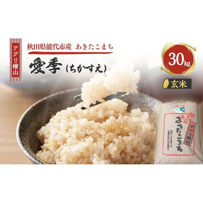 令和7年産 新米 アグリ檜山米 愛季(ちかすえ) 玄米 30kg  あきたこまち  お米 おこめ こめ コメ ごはん ご飯 大粒 令和7年  秋田 秋田県 能代市