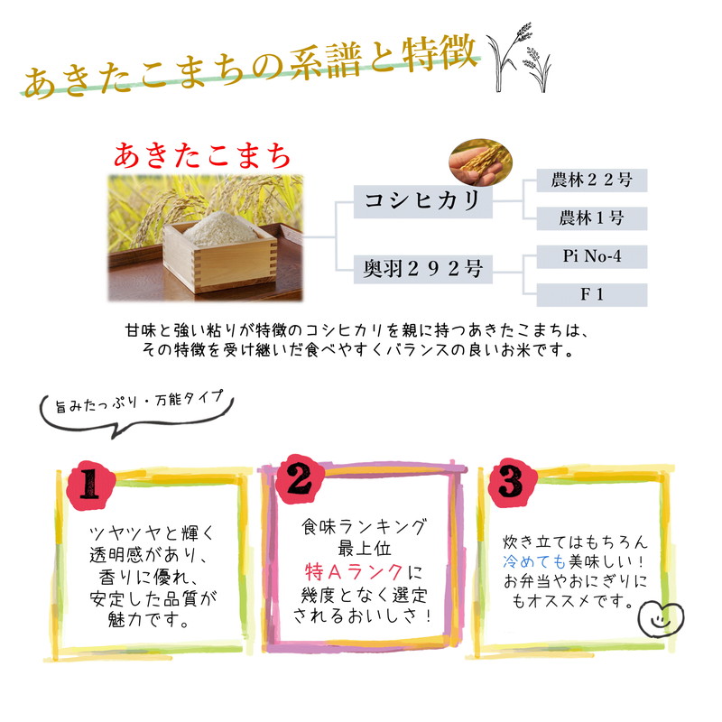 先行予約】 令和7年産 あきたこまち 玄米 30kg 秋田県産 お米 米 先行予約】 令和7年産 あきたこまち 玄米 30kg 秋田県産 お米 米