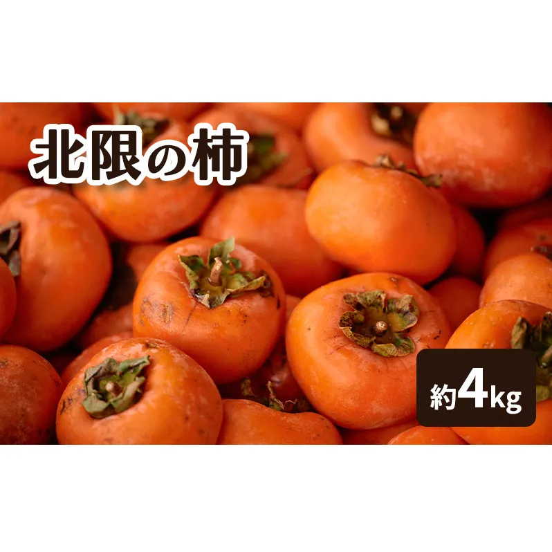 北限の柿 果物類 