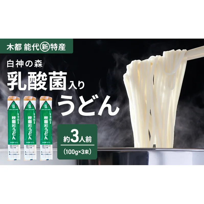 うどん 秋田杉うどん 100g（約1人前）×3束 麺 乾麺 鍋 冷たい 温かい ざるうどん 鍋の締め 杉 スギ 木