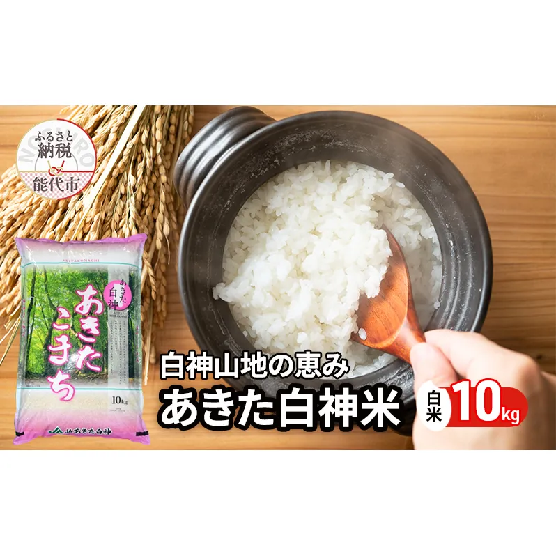 秋田県産 あきたこまち あきた白神米 10kg 令和7年産 精米 白米 お米 ご飯 ブランド米 銘柄米 おにぎり お弁当 産地直送