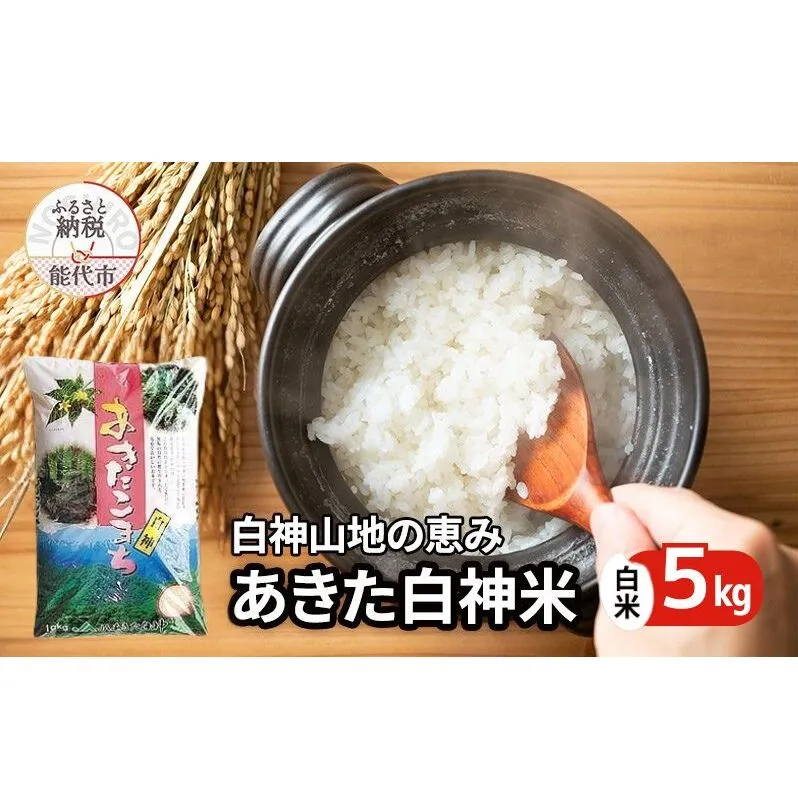 秋田県産 あきたこまち あきた白神米 5kg  令和7年産 精米 白米  お米 ご飯 ブランド米 銘柄米 おにぎり お弁当 産地直送