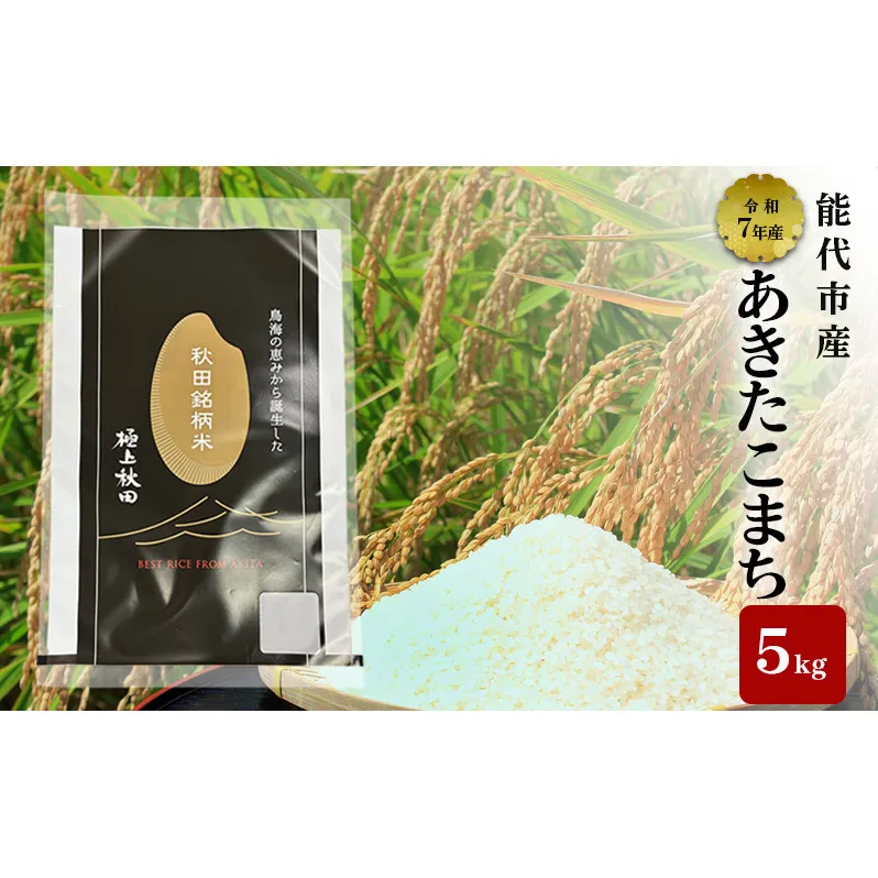 あきたこまち 令和7年度産 精米 5kg 米 お米 コメ こめ 白米 秋田県 能代市