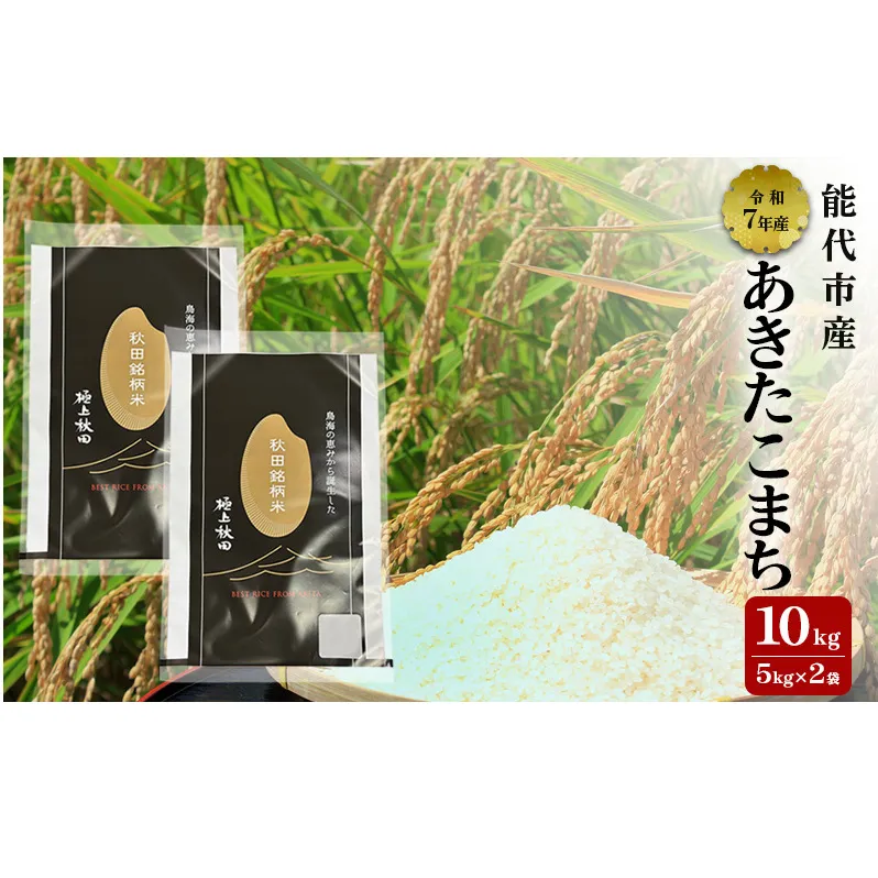 あきたこまち 令和7年度産 精米 10kg ( 5kg × 2袋 ) 米 お米 コメ こめ 白米 秋田県 能代市