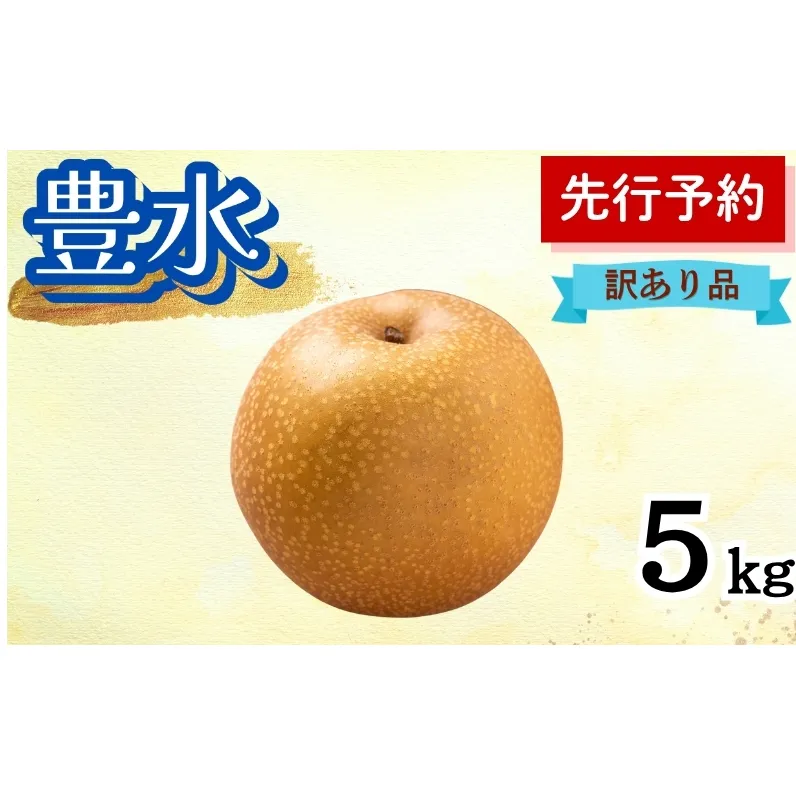 豊水 5kg 訳あり(12~14個入) 秋田県 能代市 梨 なし ナシ 果物 フルーツ 厳選 訳あり 甘い 果実 果汁
